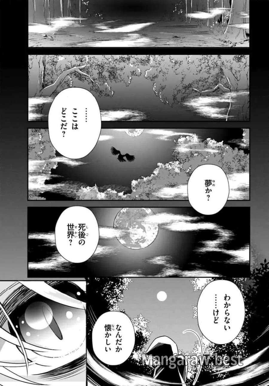 死神少女は陰から推しを眺めたい ─悪役にTS転生したけど、こっそり原作キャラを観察しに行きます!─ 第1話 - Page 9