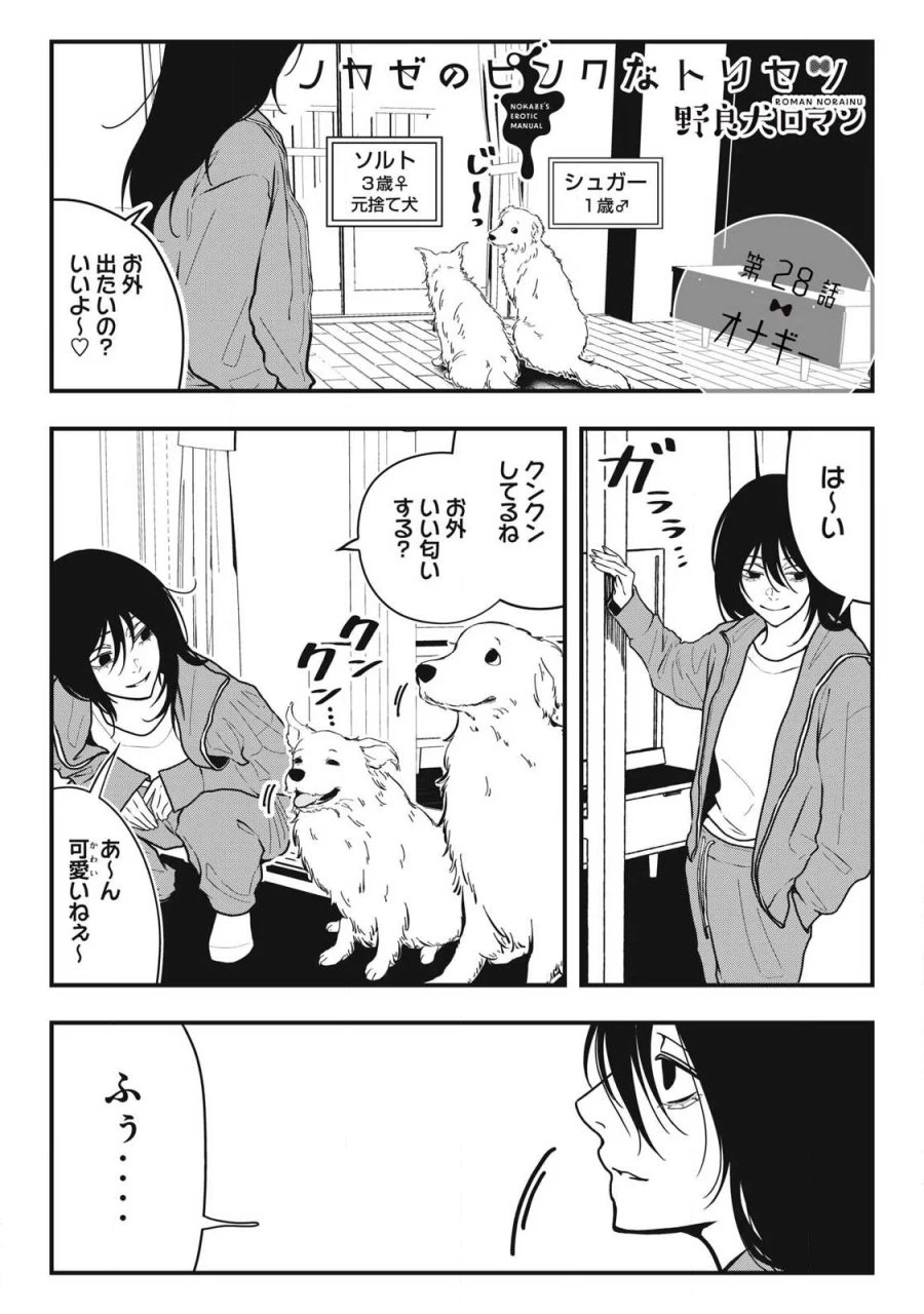 ノカゼのピンクなトリセツ 第28話 - Page 1