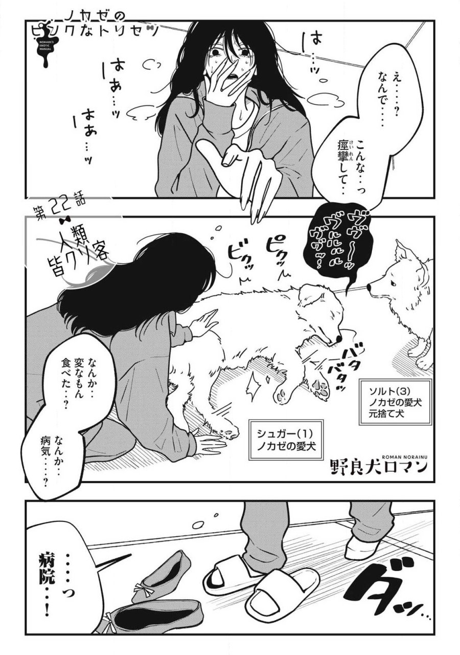 ノカゼのピンクなトリセツ 第22話 - Trang 1