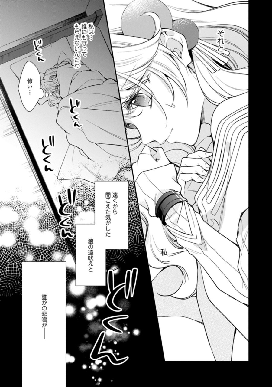 追放された聖女ですが、実は国中から愛されすぎてて怖いんですけど！？～聖女イヴリンと愉快な（？）仲間たち～ 第25.2話 - Page 13