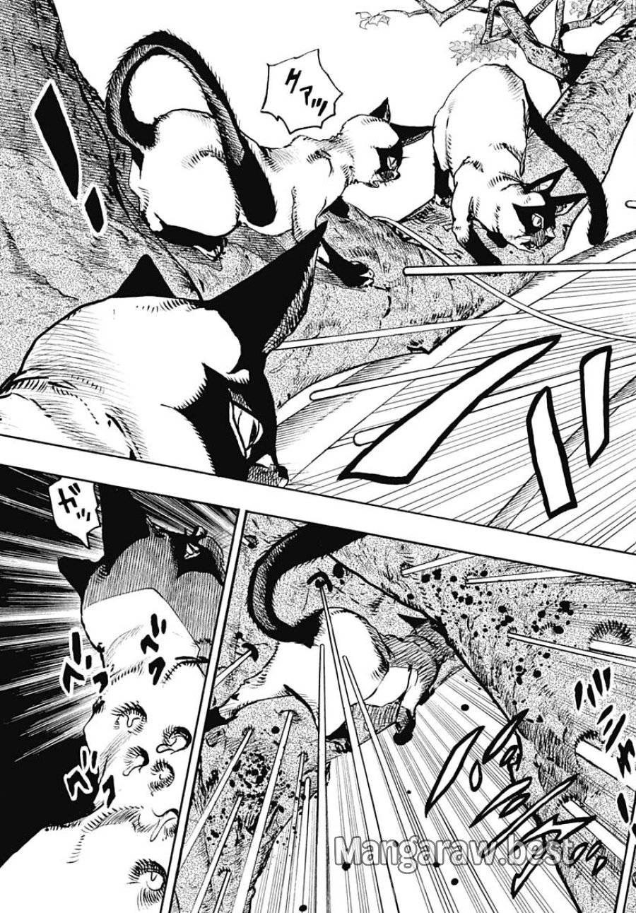 ザ・ジョジョランズ 第7話 - Page 24
