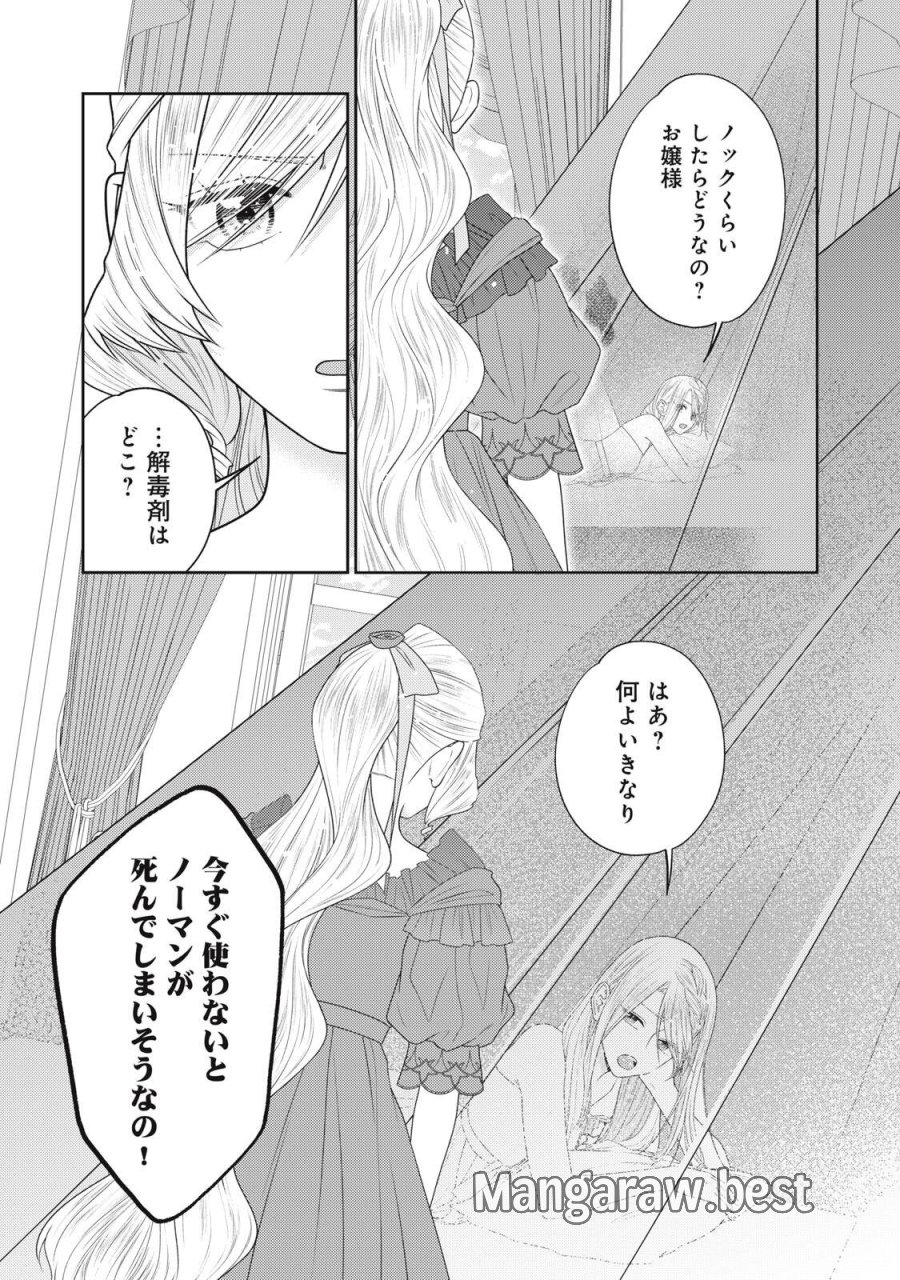 10年間身体を乗っ取られ悪女になっていた私に、二度と顔を見せるなと婚約破棄してきた騎士様が今日も縋ってくる 第28.1話 - Page 6