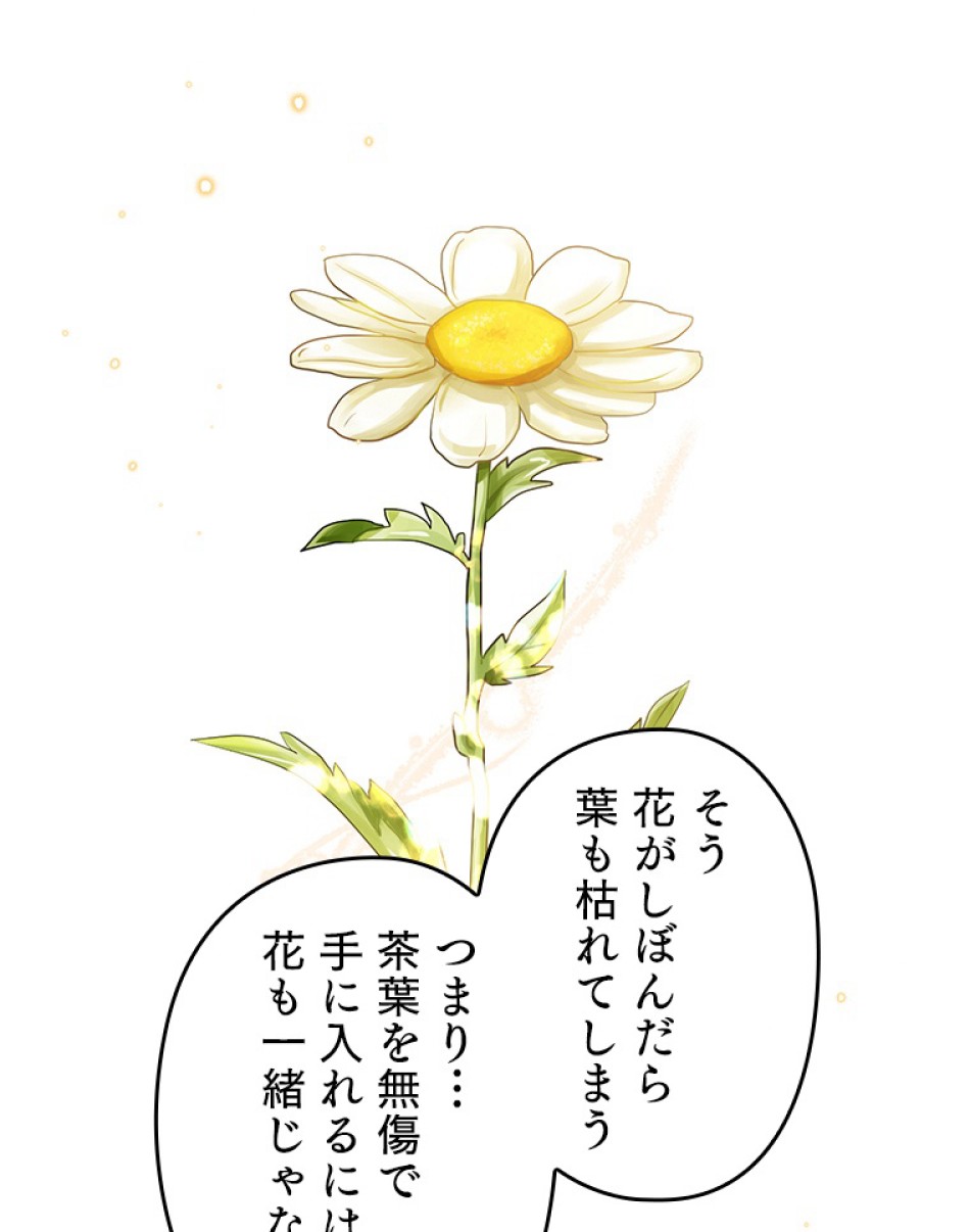 緑陰の冠 第43話 - Page 41