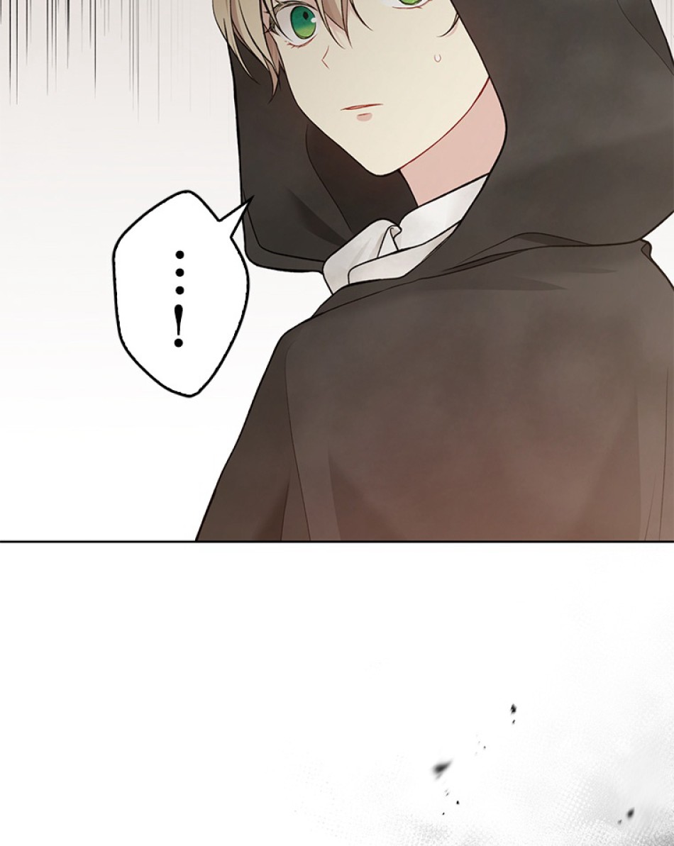 緑陰の冠 第55話 - Page 113