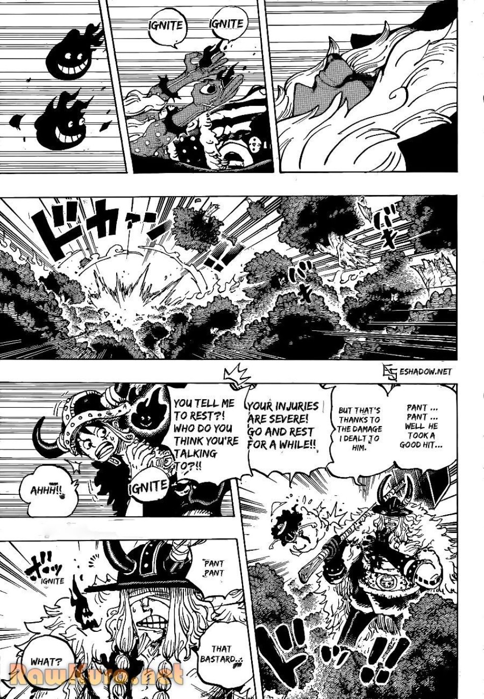 ワンピース 第1187話 - Page 3