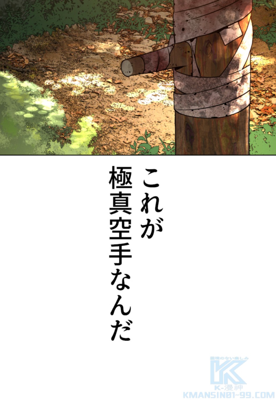 喧嘩独学 第119話 - Page 118